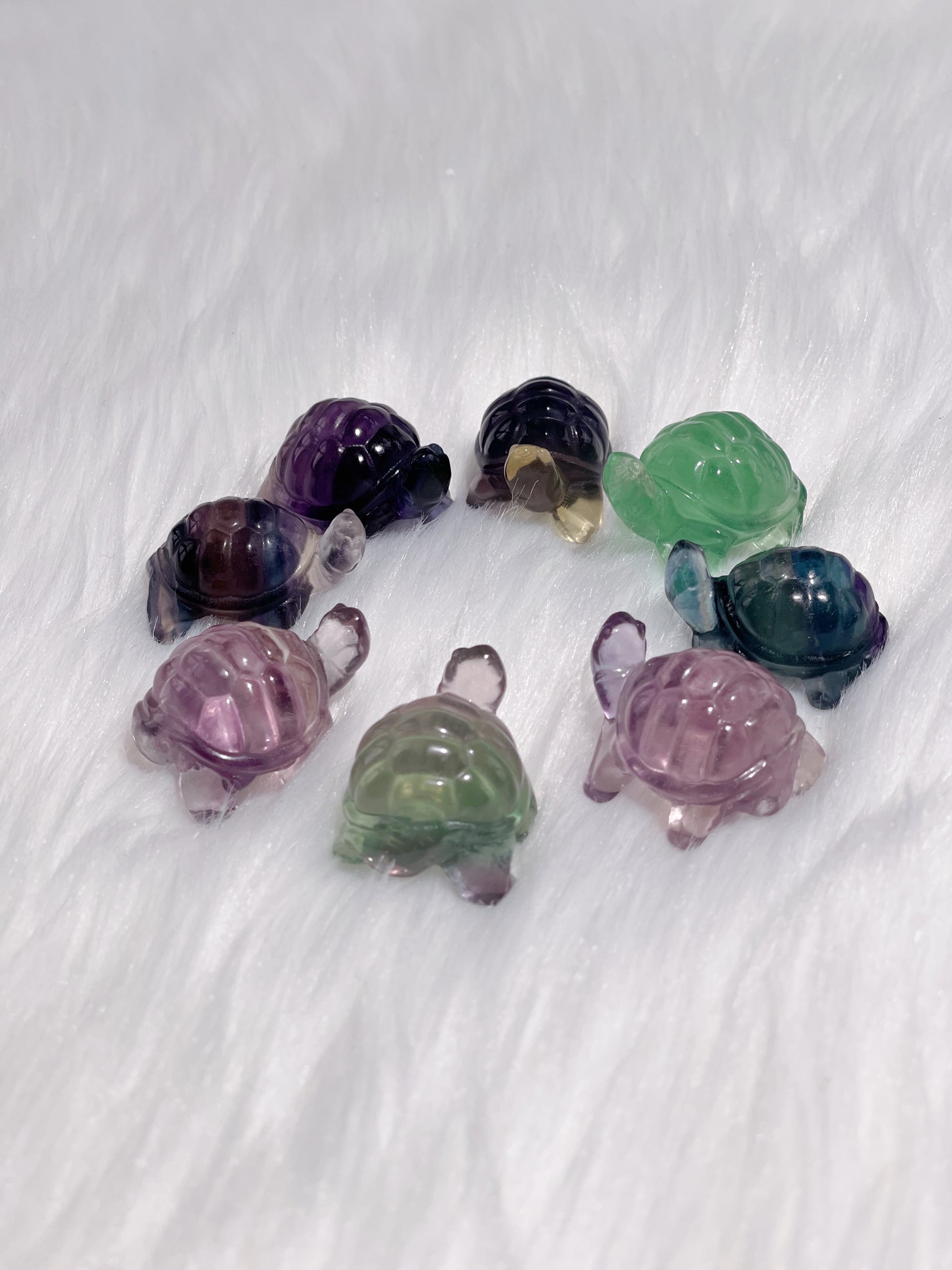 Fluorite Turtle – Caring Crystals